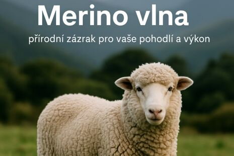 Merino vlna: přírodní zázrak pro vaše pohodlí a výkon
