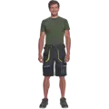 SHELDON, šortky